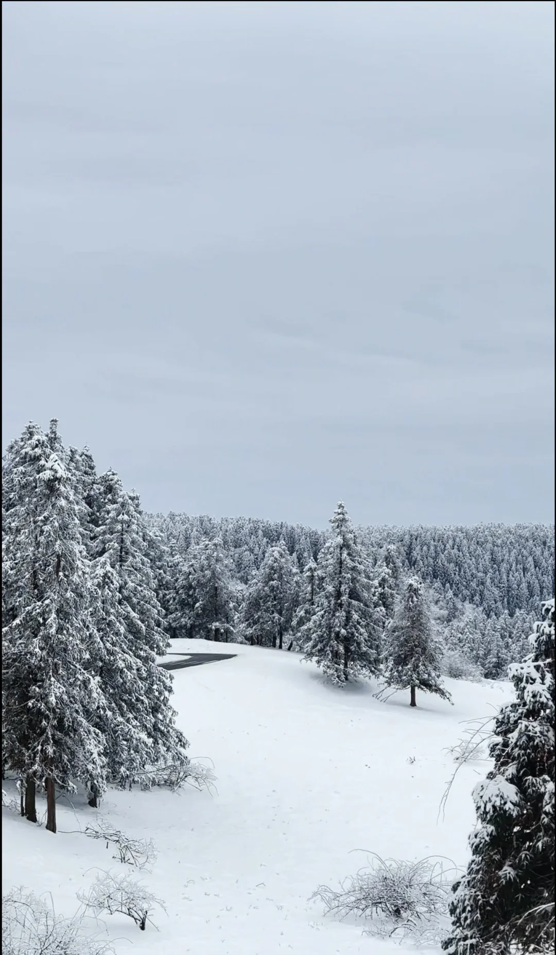 仙女山雪季正确✅游玩顺序