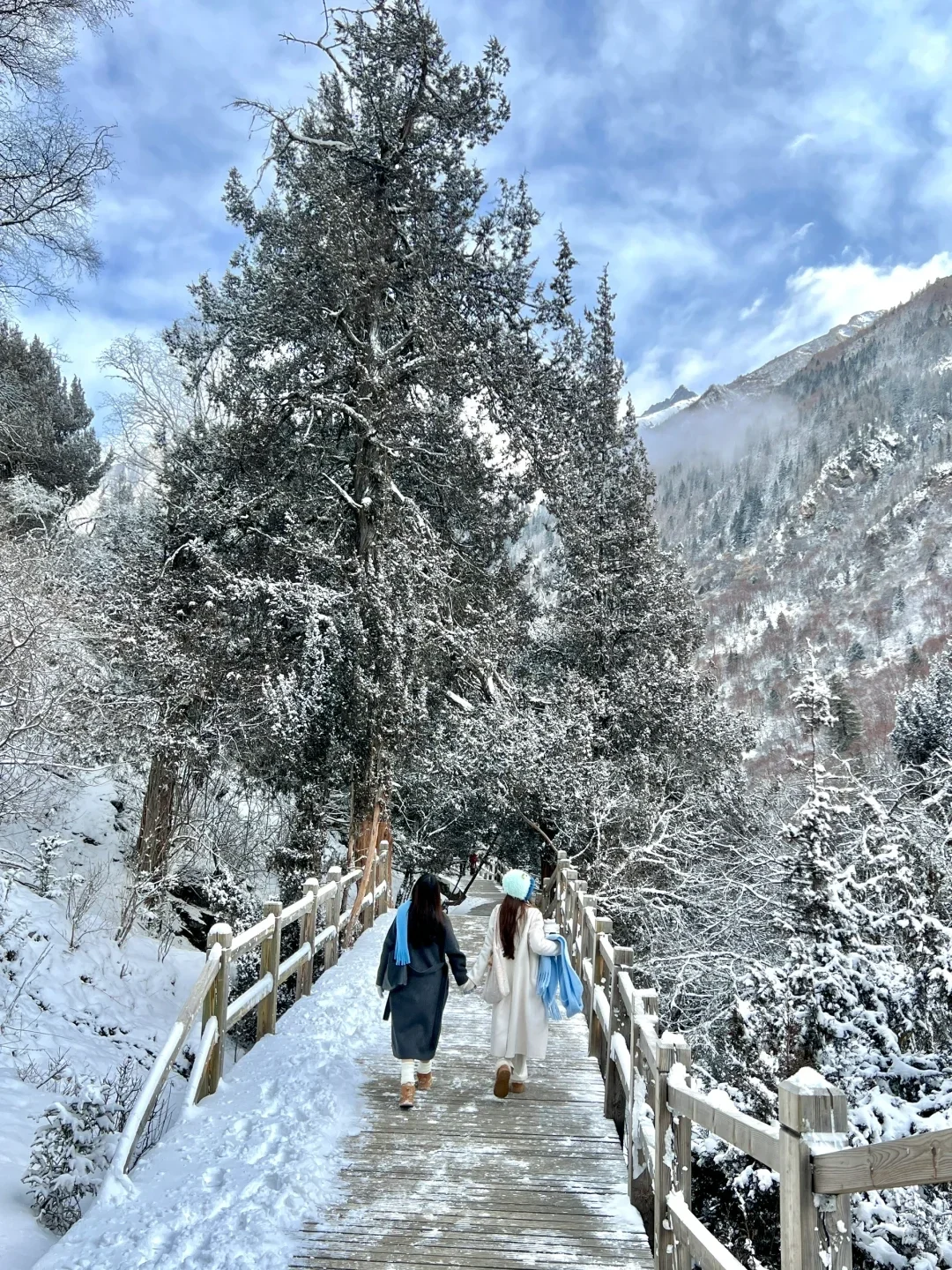 12.5淡季去四姑娘山玩3天，人均才💰560
