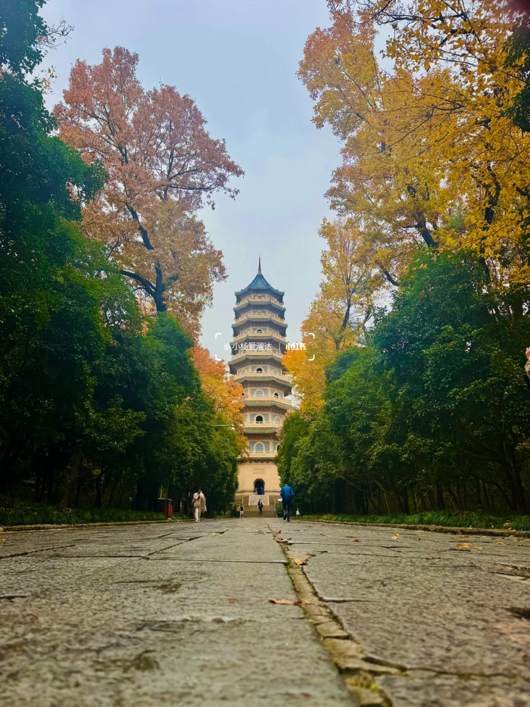 南京旅游攻略｜一张图秒懂南京景点(附路线)