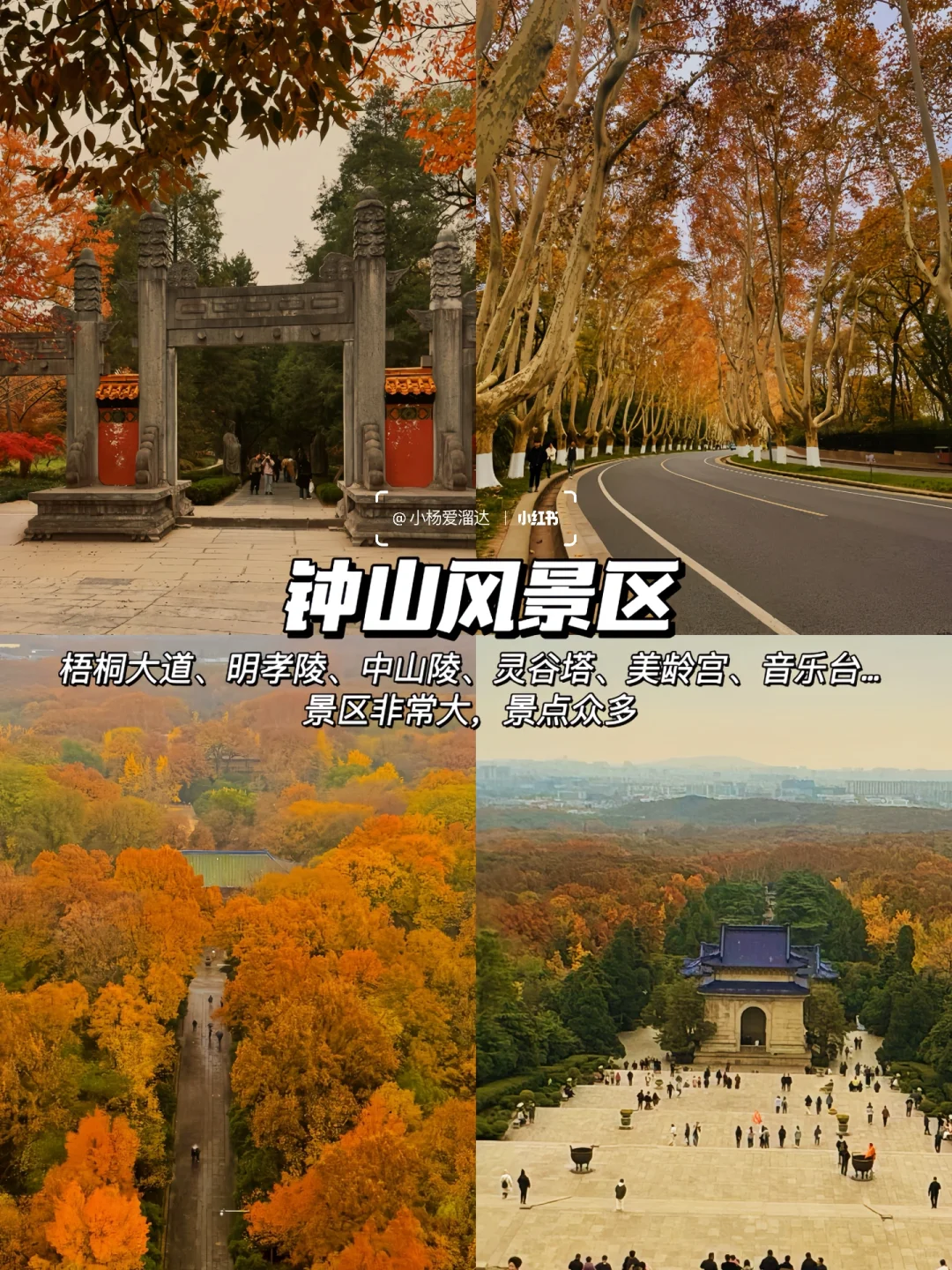 南京旅游攻略｜一张图秒懂南京景点(附路线)