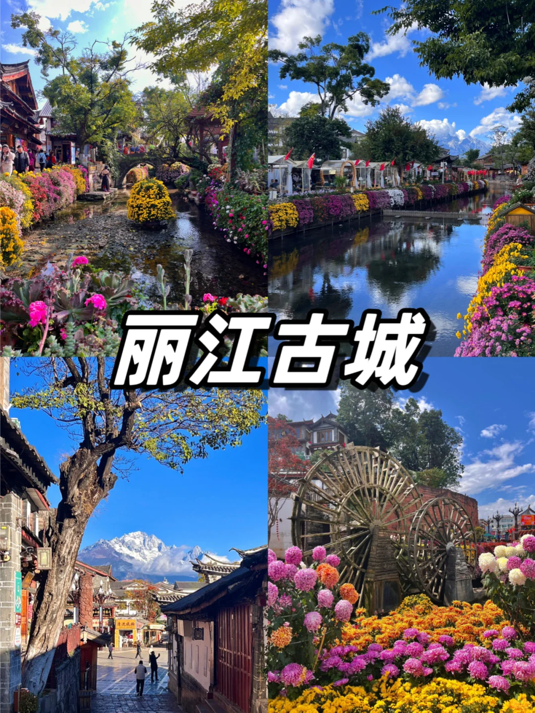 云南不容错过的九大景点🙋旅游必看版