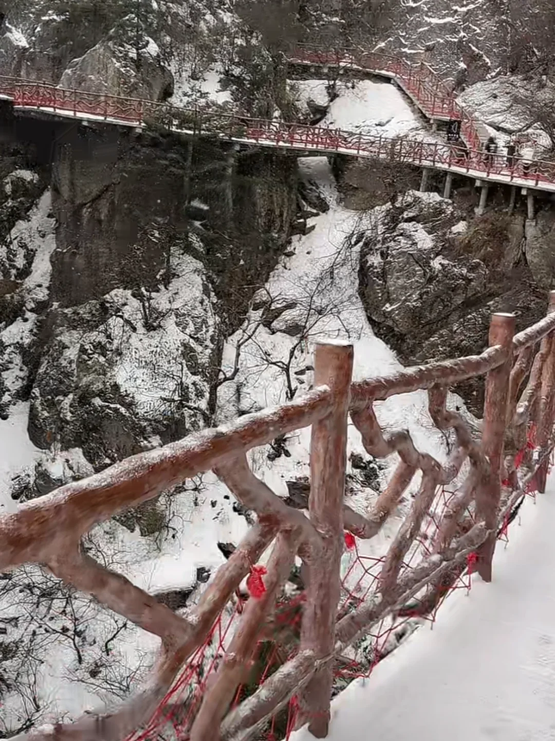 12.10号老君山实况，惊呆了终于下雪啦！！！