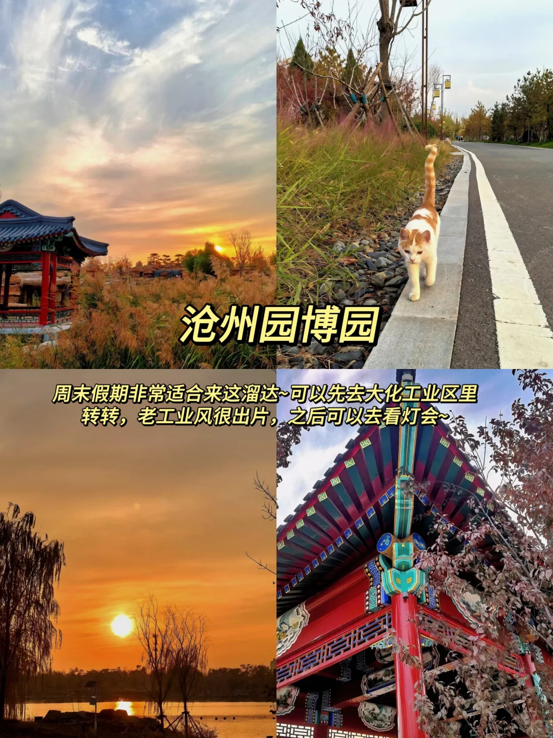 河北沧州必去的九大景点‼️旅行前必看‼️