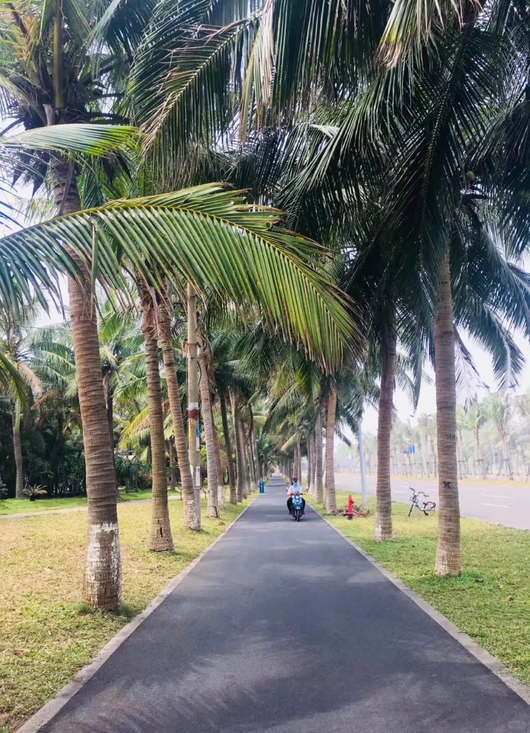海口旅游攻略