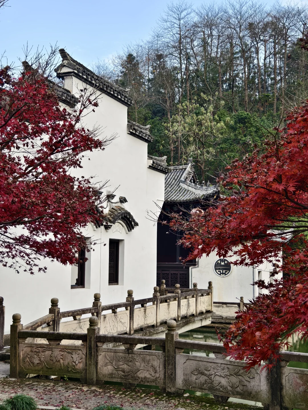 八百里-青山湖畔的小众景点