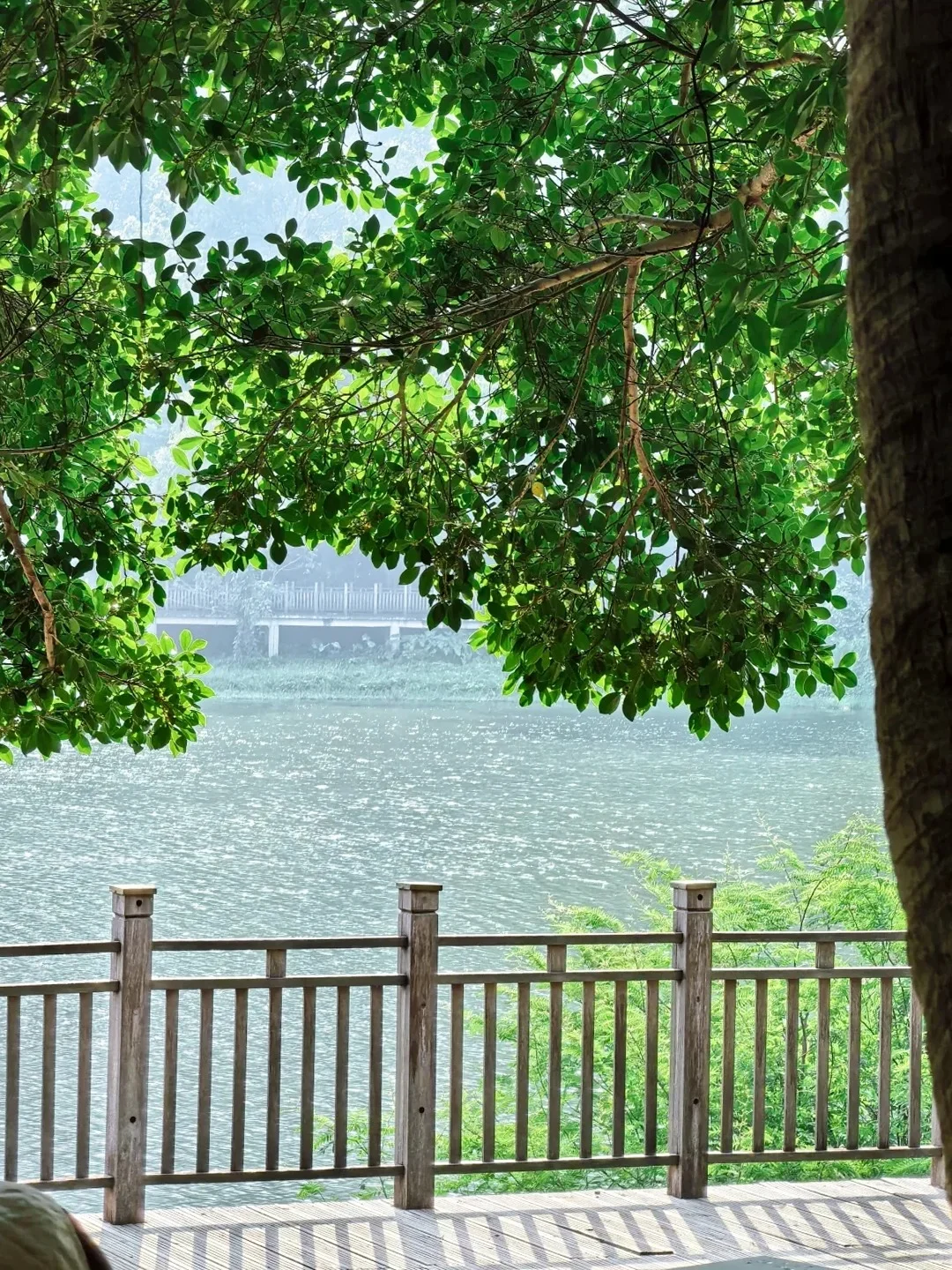 👏3条森林公园治愈徒步路线🐛0难度！