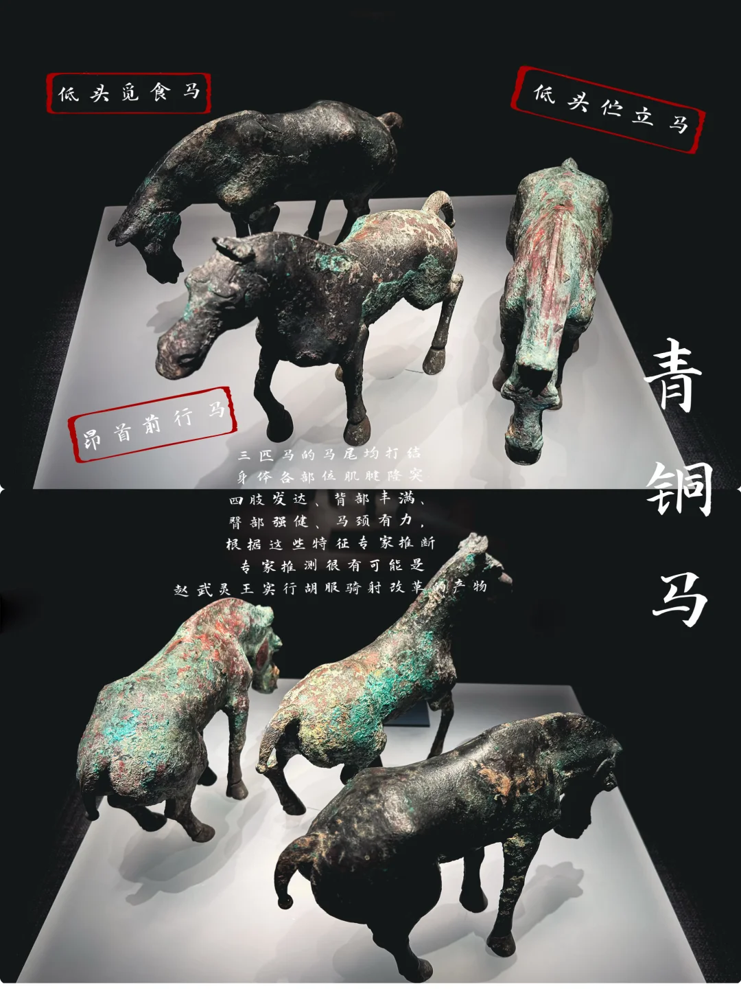 邯郸市区一日游图文版❗️这条路线无脑收藏