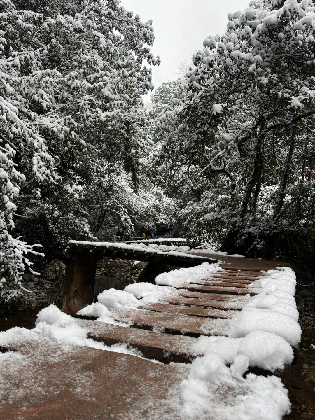 青城山下雪啦❄️❄️❄️