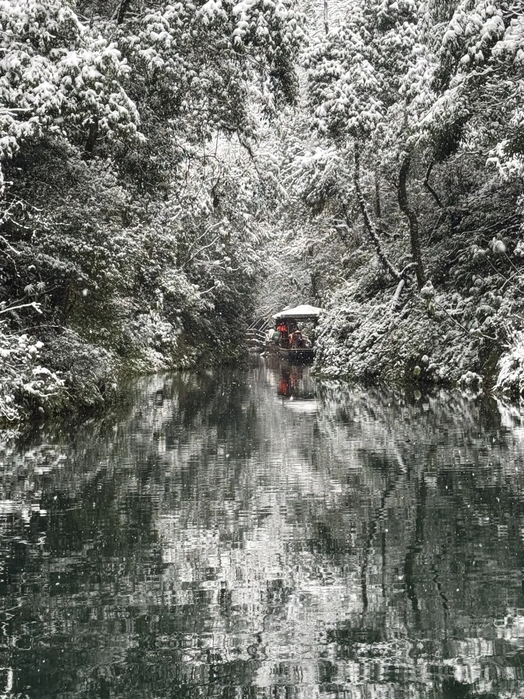 青城山下雪啦❄️❄️❄️