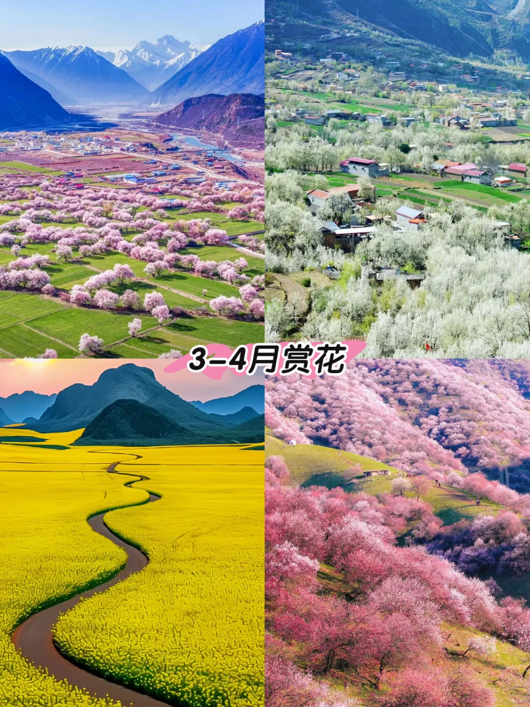 2025全年旅行计划✨按月份解锁最佳旅行地