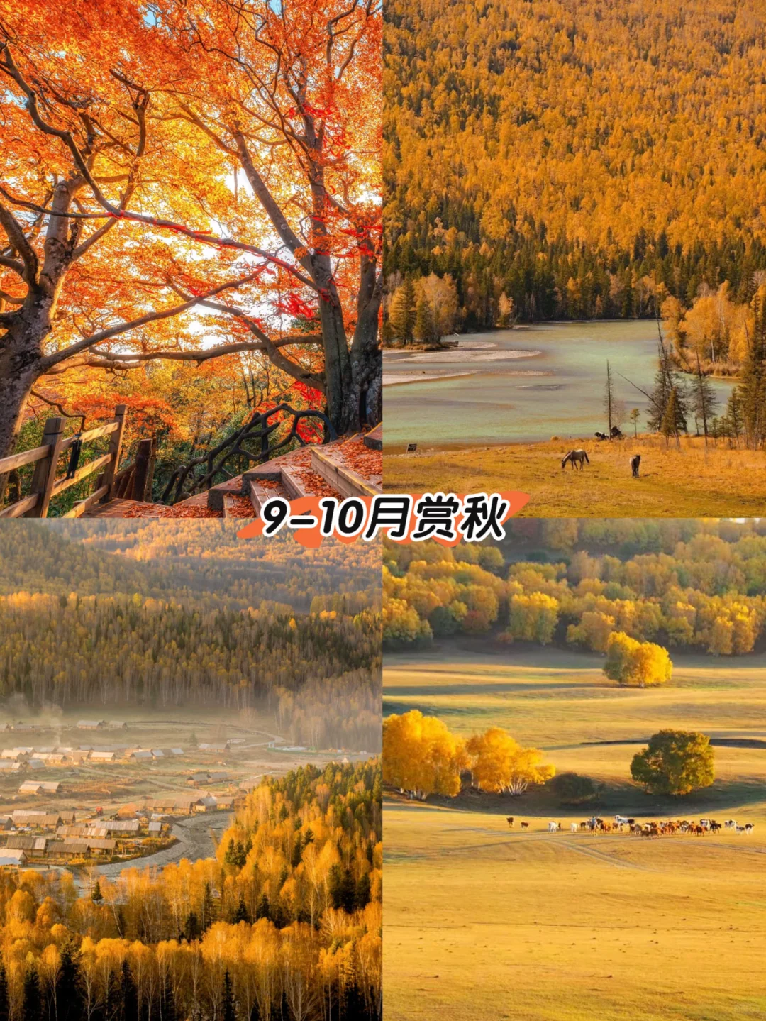 2025全年旅行计划✨按月份解锁最佳旅行地