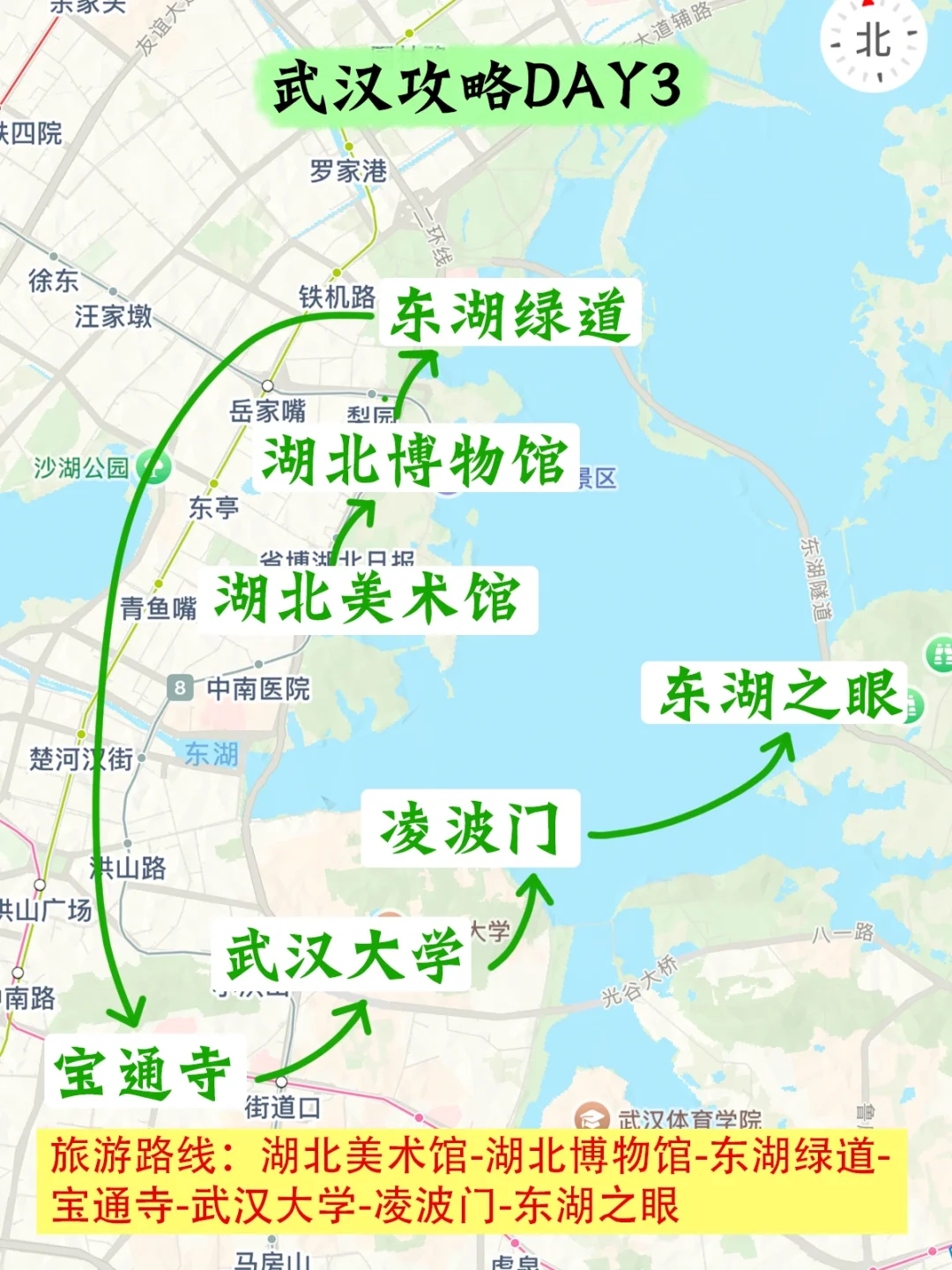 淡季来武汉✅武汉土著的建议是……
