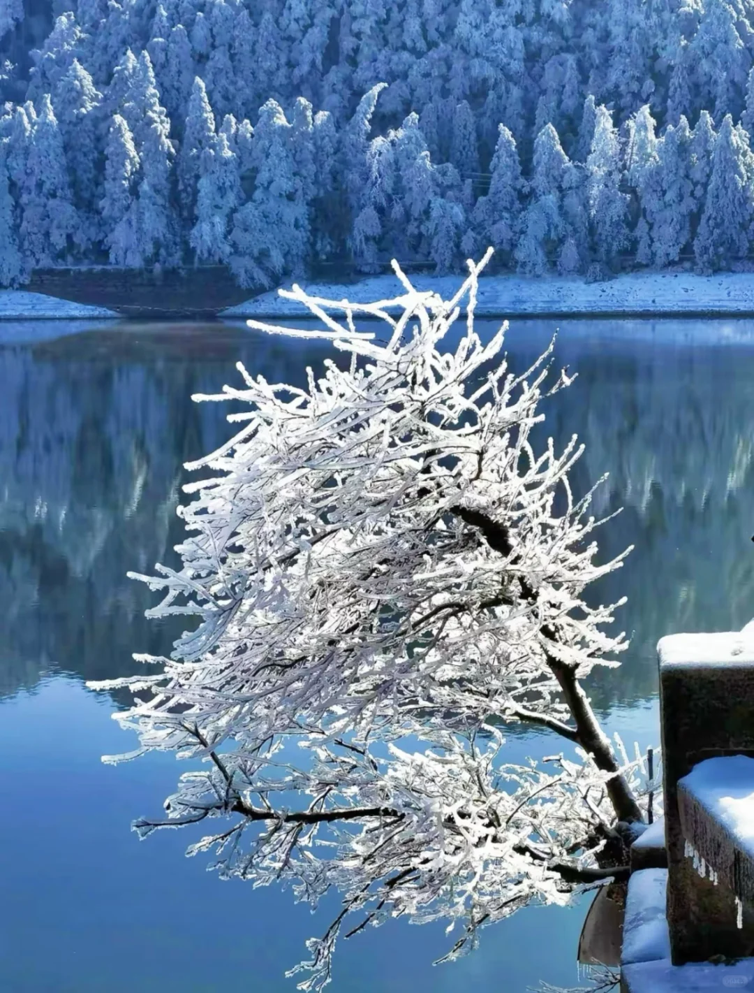 这里不是北海道，更不是北欧