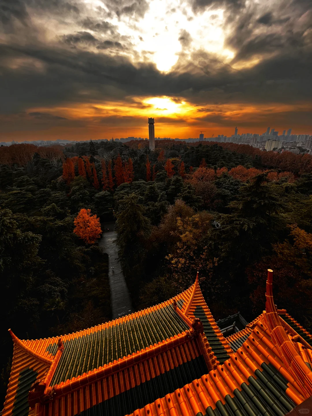 藏在雨花台景区里无人知晓的超绝机位！