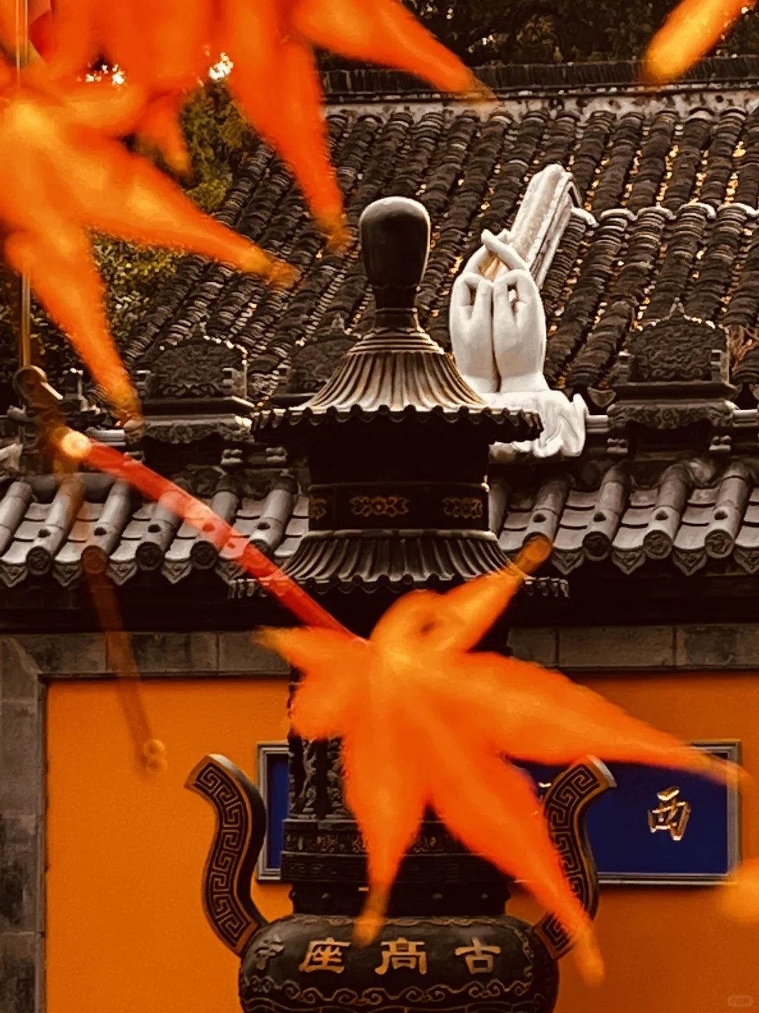 藏在雨花台景区里无人知晓的超绝机位！