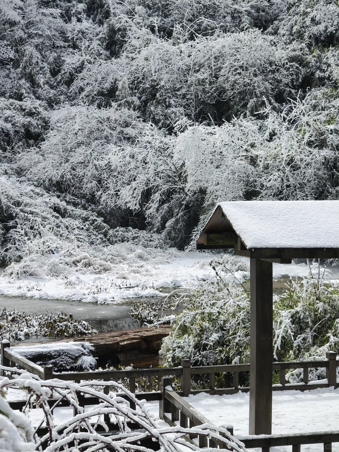 南天湖❄️哪里人少景美出片？（附攻略）