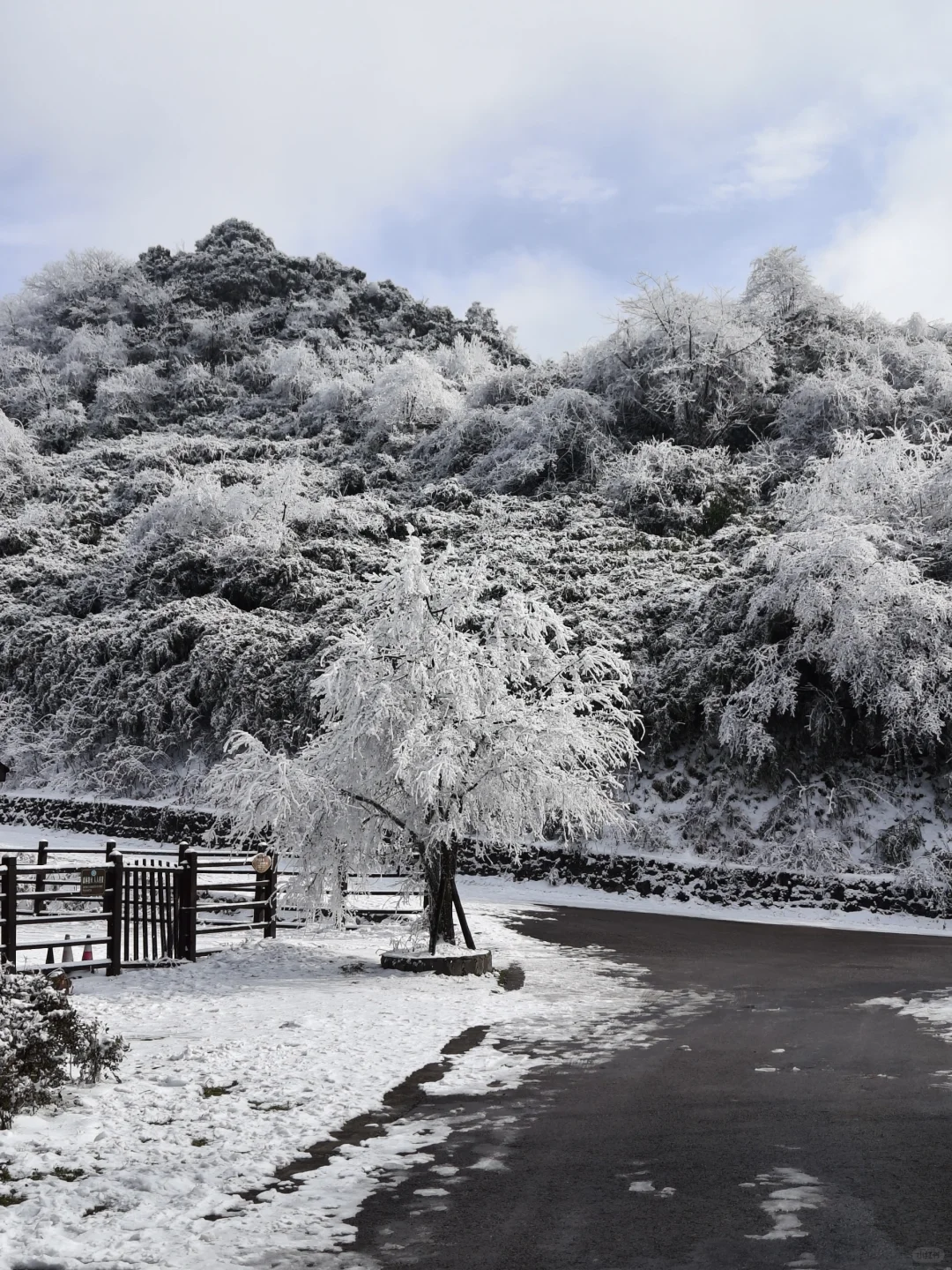 南天湖❄️哪里人少景美出片？（附攻略）