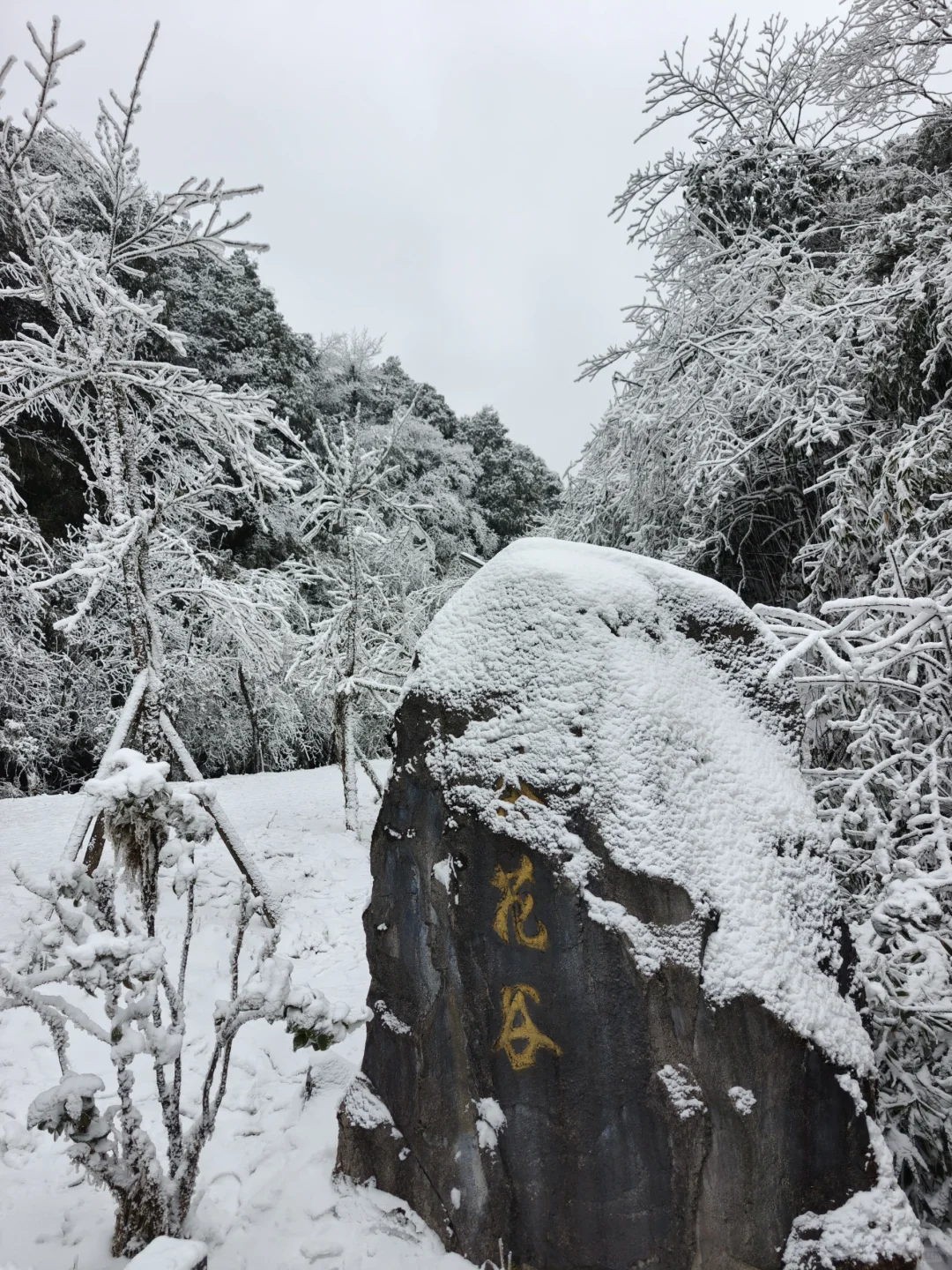 南天湖❄️哪里人少景美出片？（附攻略）