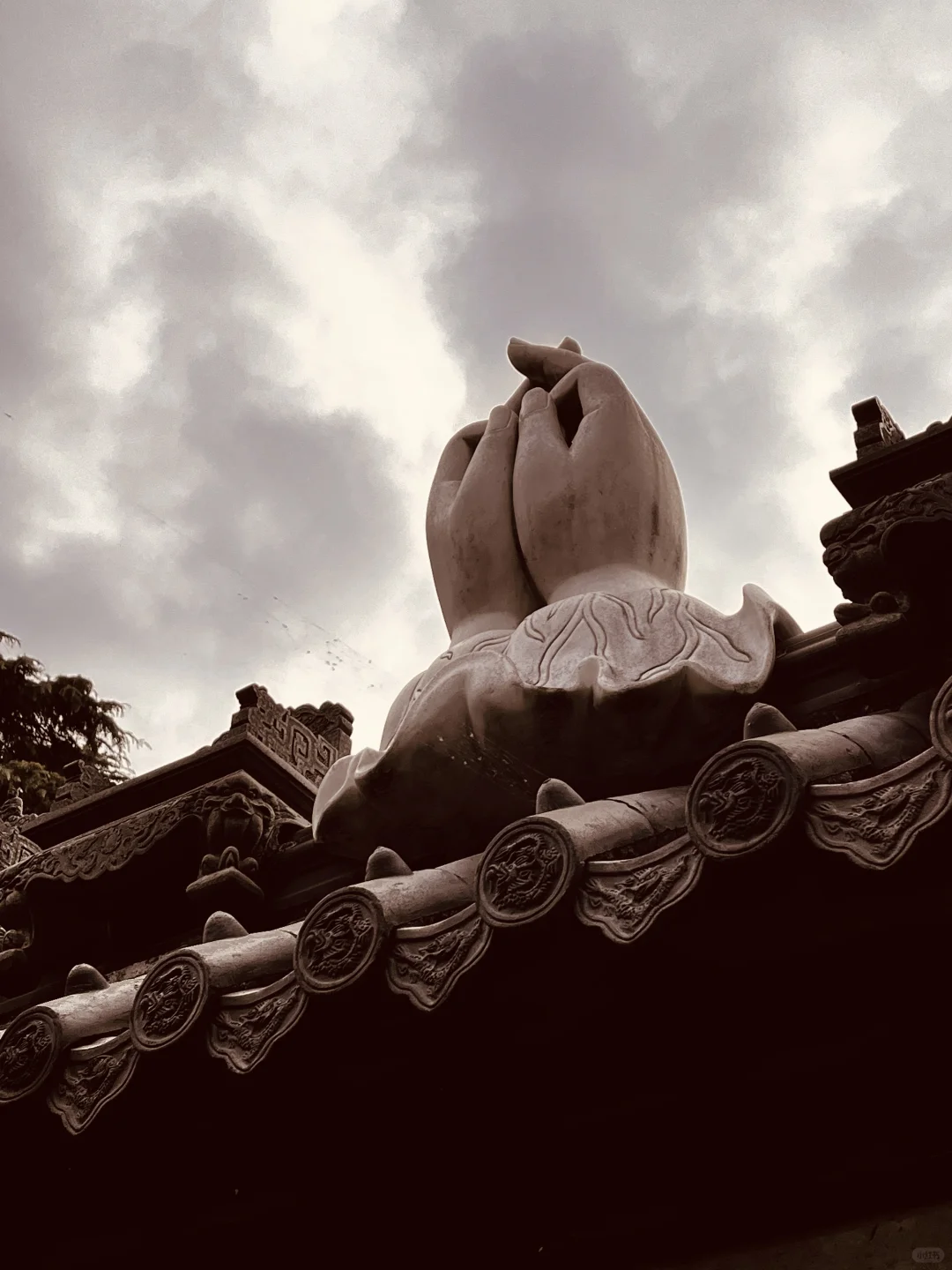 藏在雨花台景区里无人知晓的超绝机位！