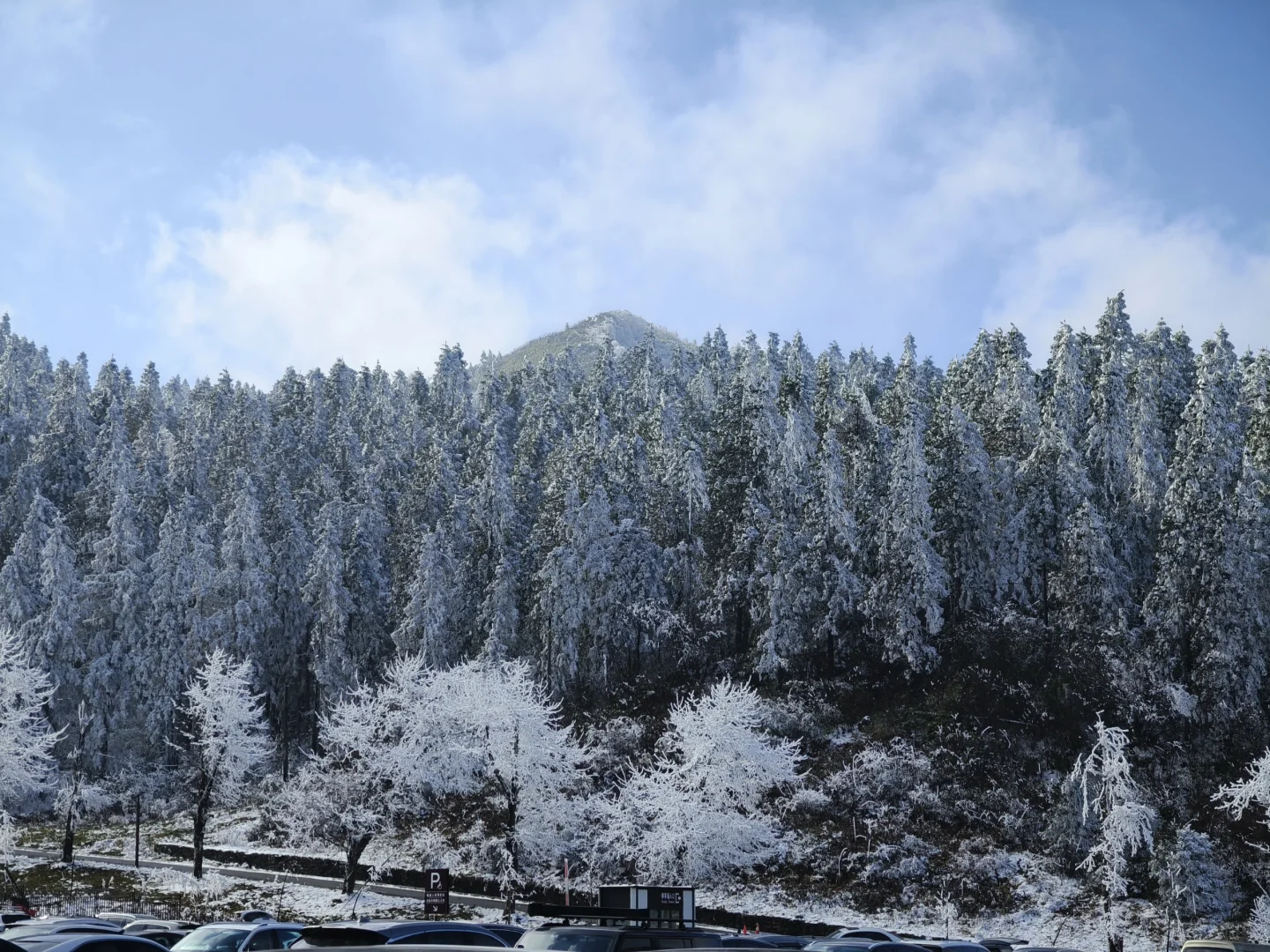 南天湖❄️哪里人少景美出片？（附攻略）