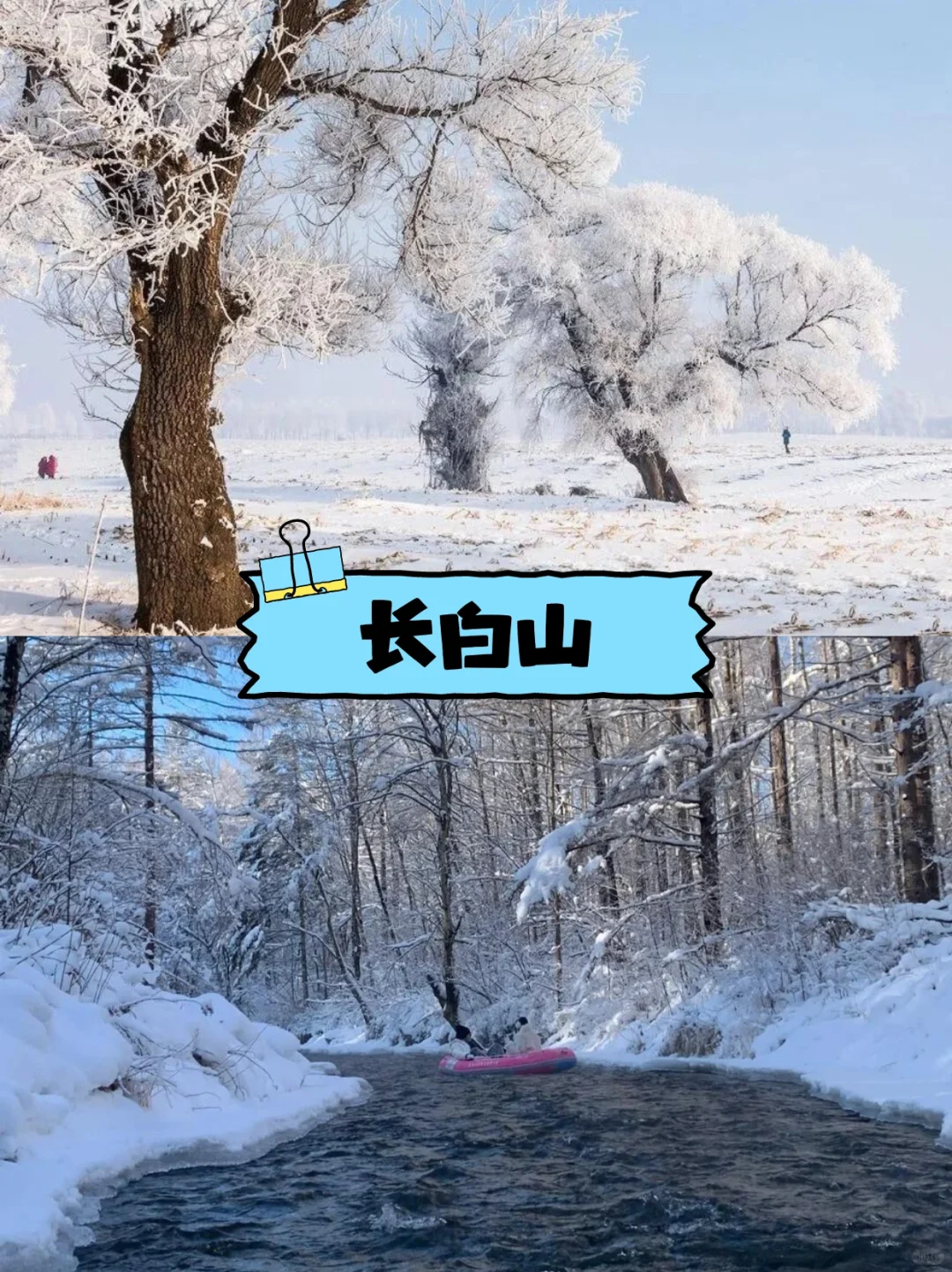 避坑指南～哈尔滨旅游 包车+地陪攻略🔥