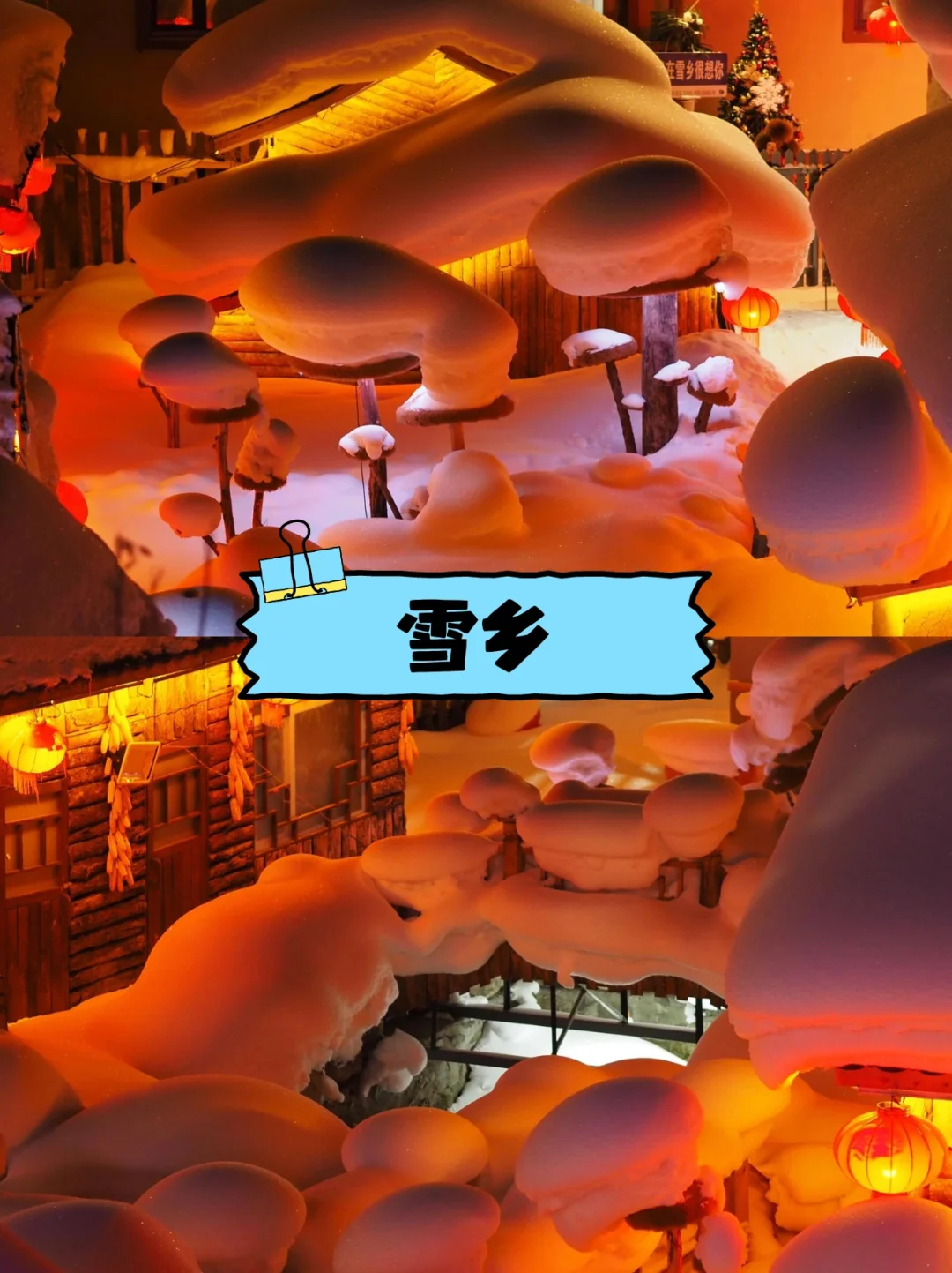 避坑指南～哈尔滨旅游 包车+地陪攻略🔥