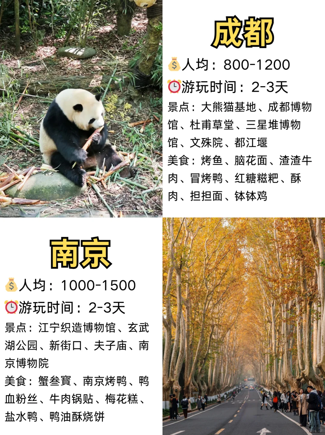 闺蜜出游💗情侣约会超适合出行的城市‼️