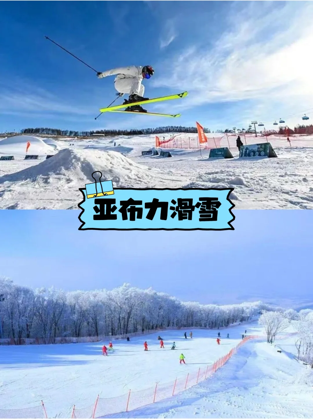 避坑指南～哈尔滨旅游 包车+地陪攻略🔥
