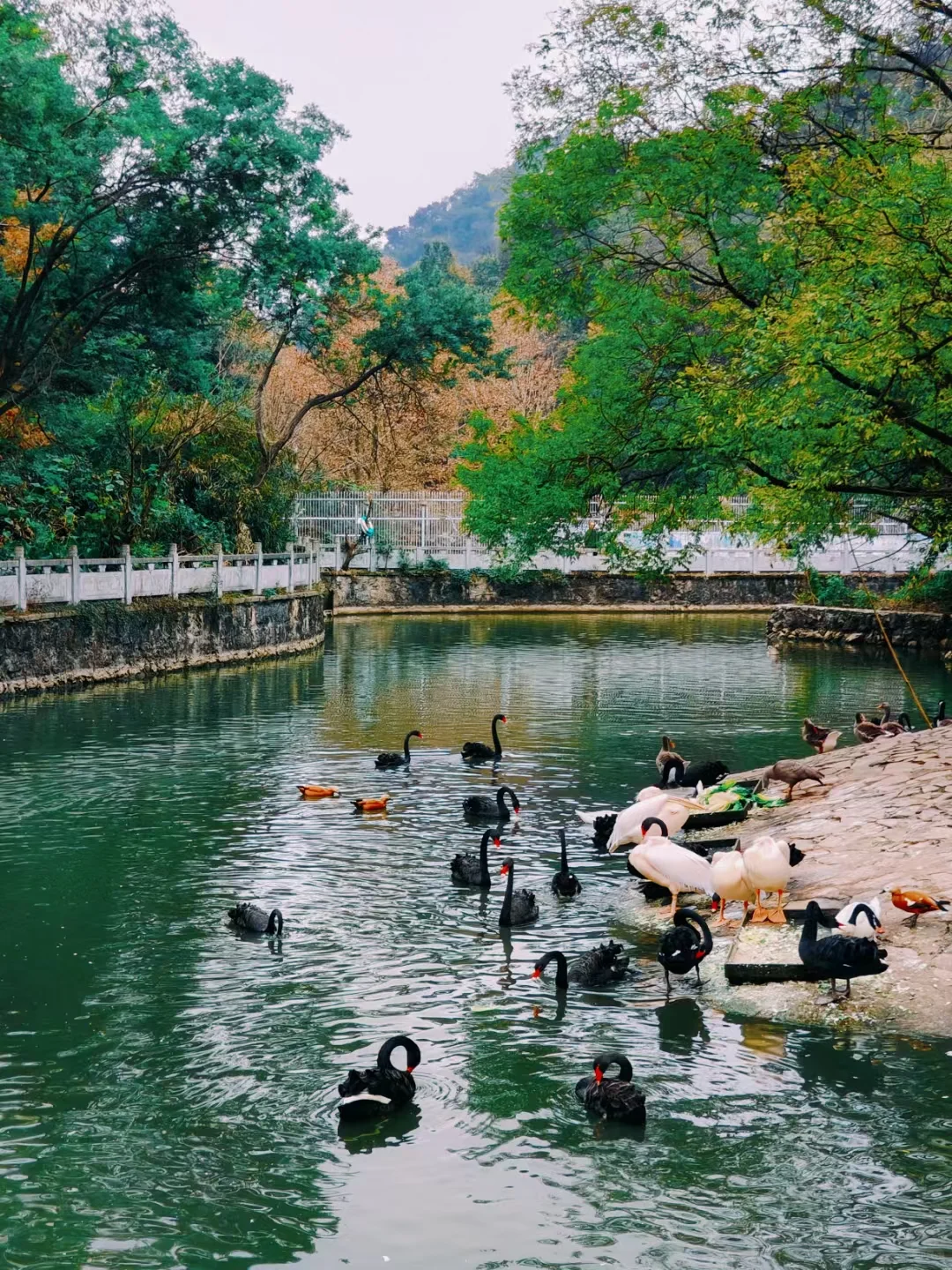 一键开启冬日贵阳🔛半天打卡5️⃣景点