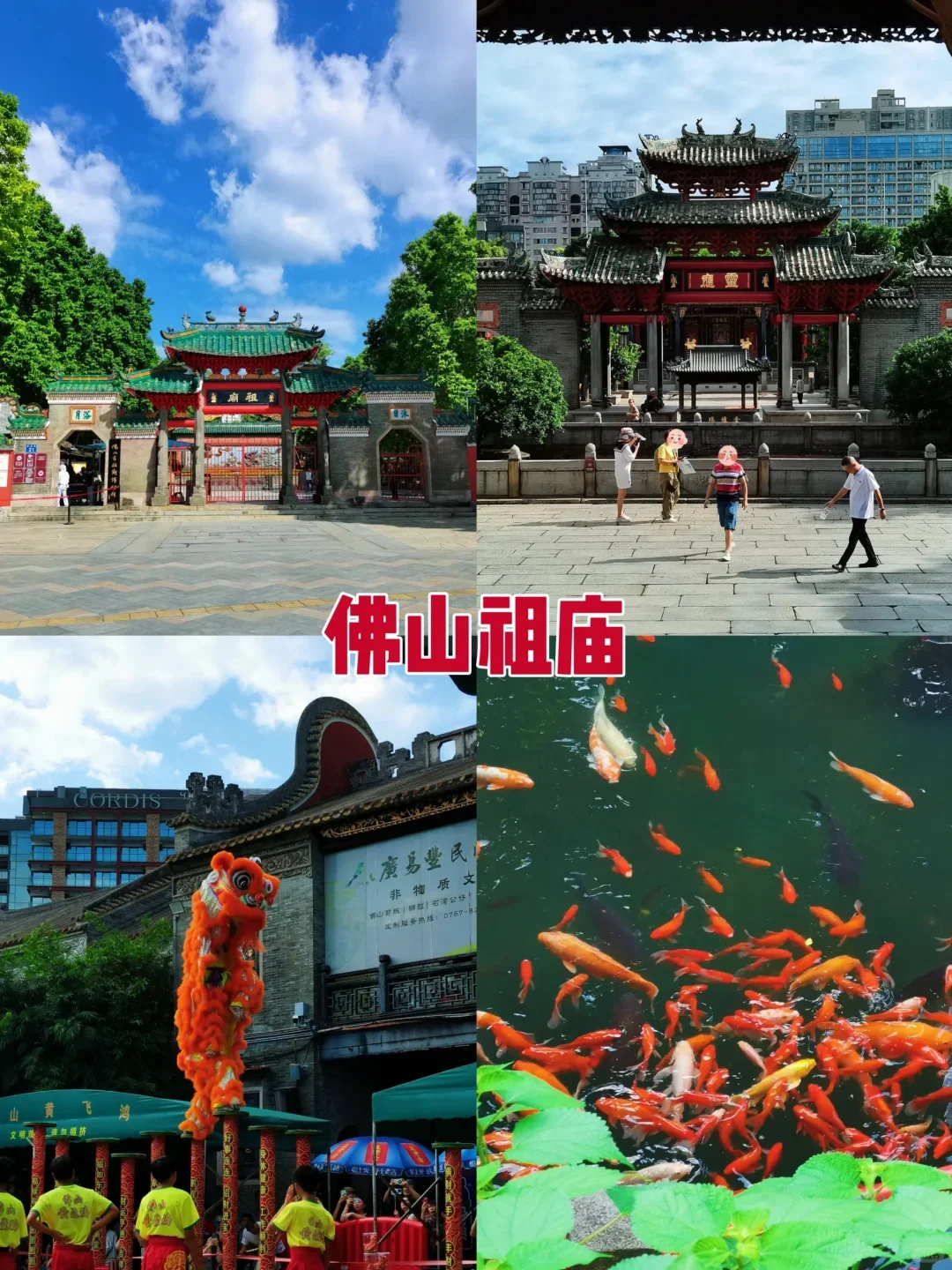 听劝家人们❗春节广东旅游看看定制旅游！