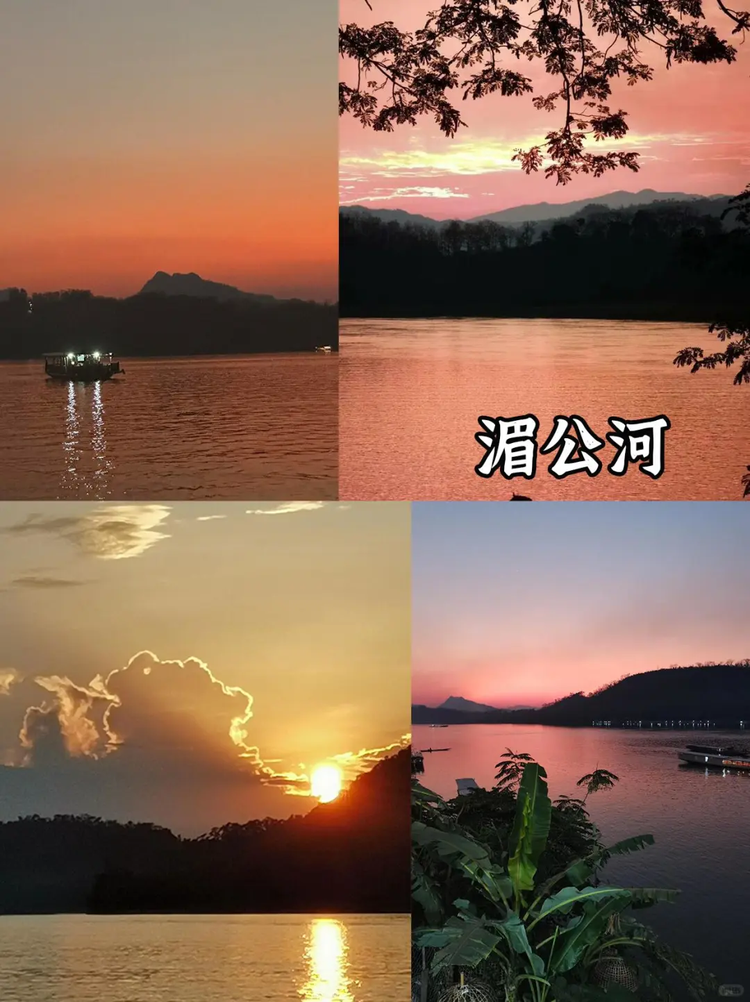 刚从老挝回来，不知当讲不当讲💢💢