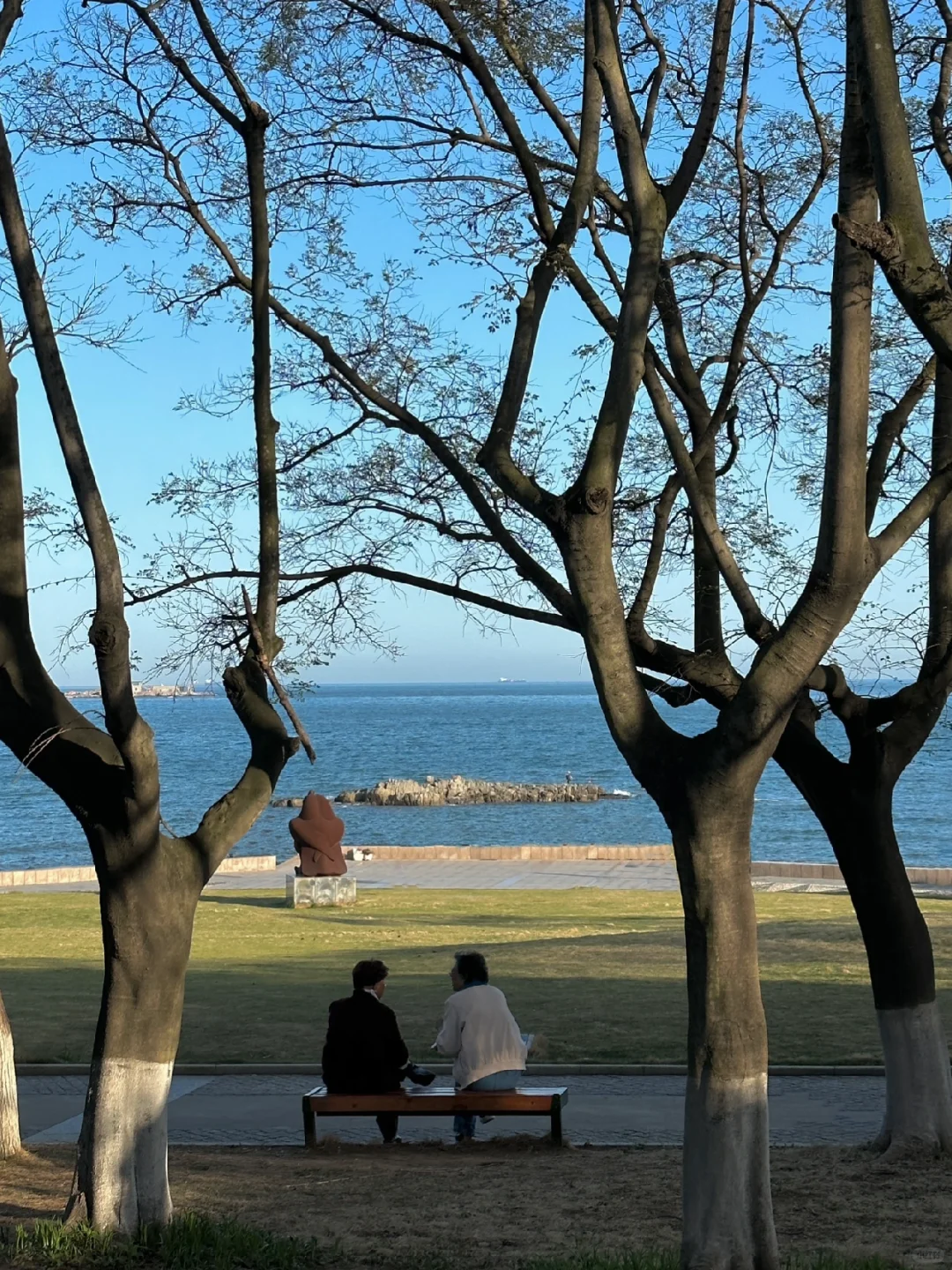 青岛真的太适合情侣seawalk 🌳 （附机位）