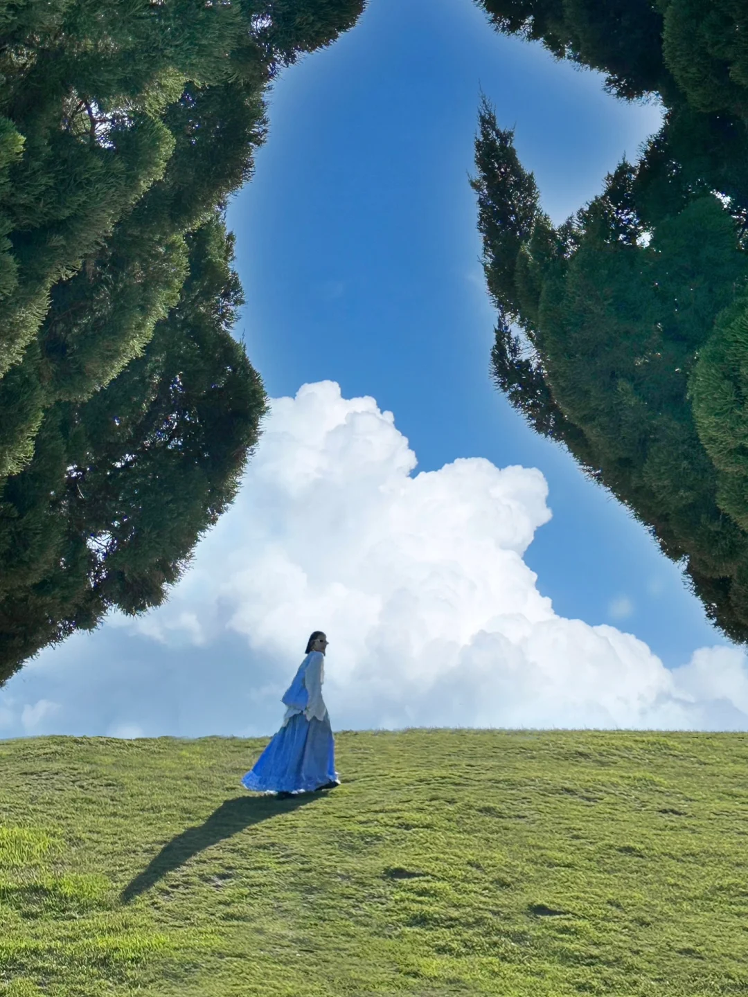 青岛真的太适合情侣seawalk 🌳 （附机位）