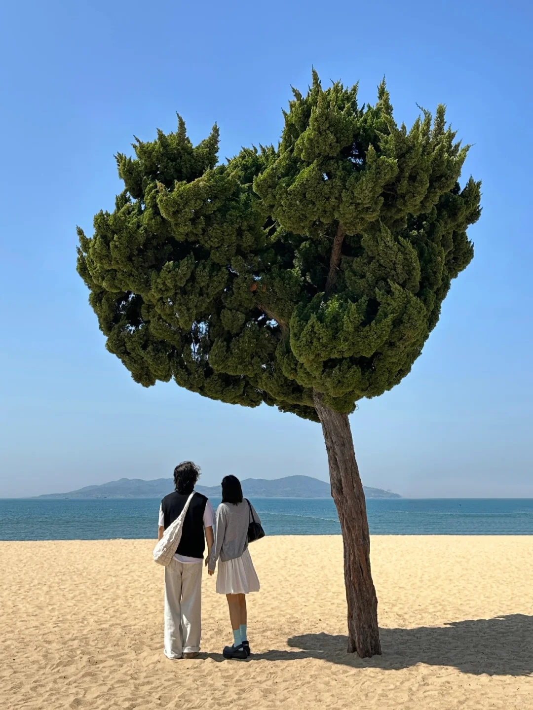青岛真的太适合情侣seawalk 🌳 （附机位）