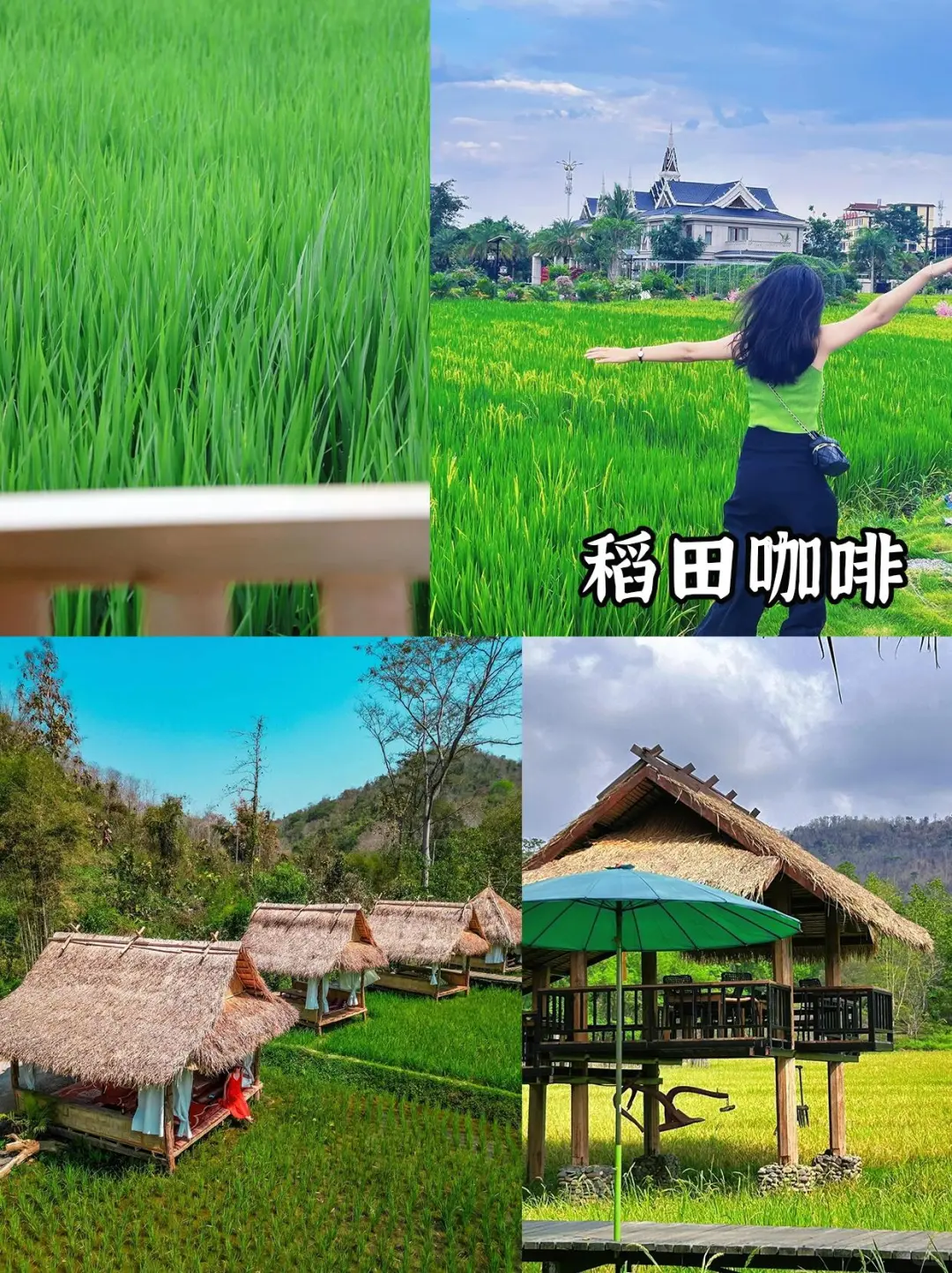 刚从老挝回来，不知当讲不当讲💢💢