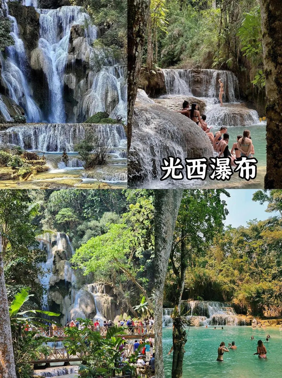 刚从老挝回来，不知当讲不当讲💢💢