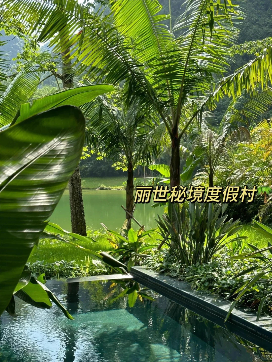 崇左旅行死磕这家！1088/3天😭还送下午茶