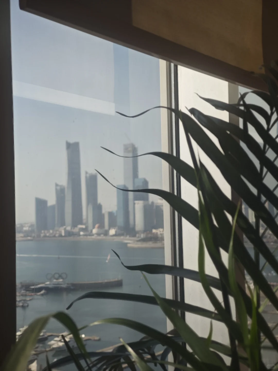 青岛海滨梦幻之旅：奥帆中心 & 五四广场 &