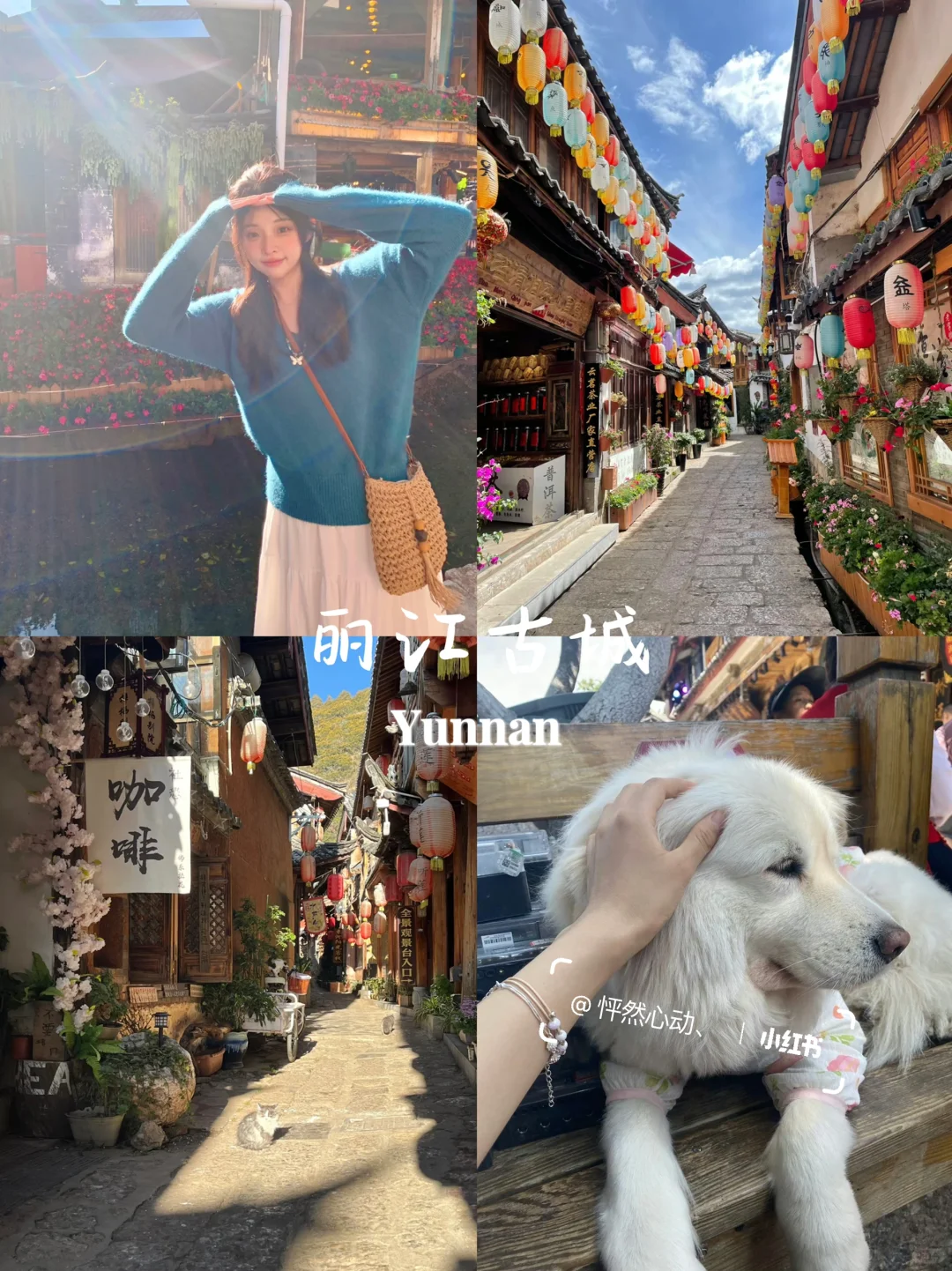 云南旅游👫七天花了2300💰真实感受