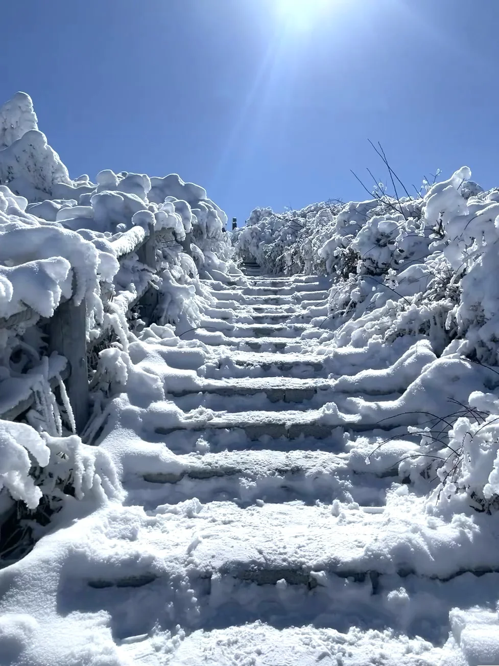 12.24的峨眉山|冬天的峨眉山直接封神❗️