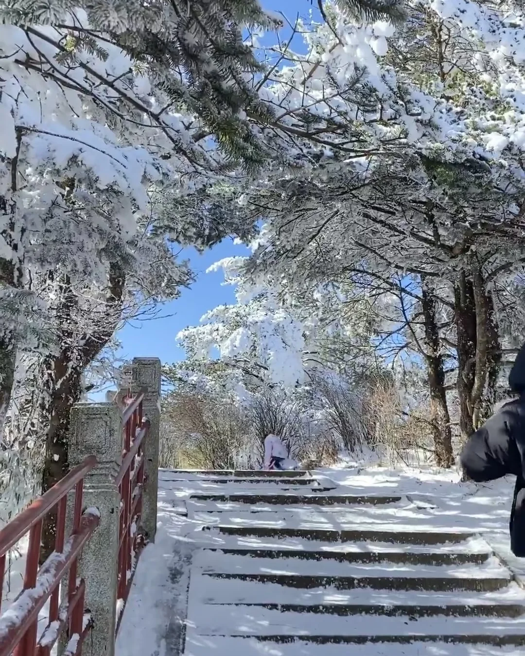 12.24的峨眉山|冬天的峨眉山直接封神❗️