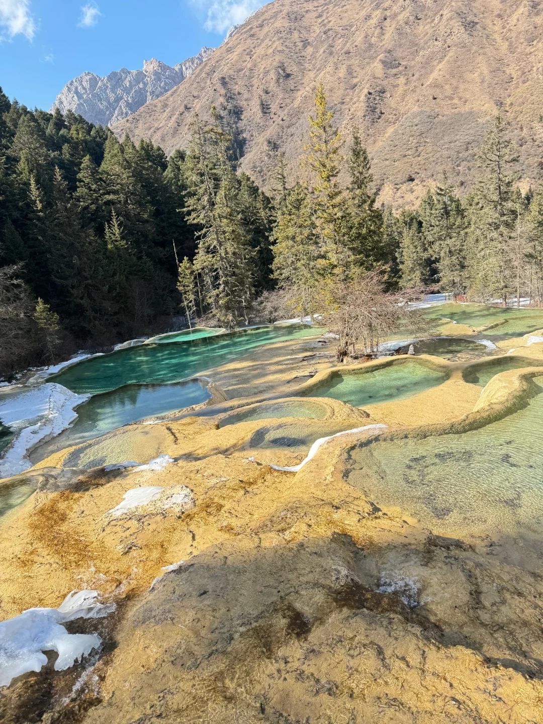 黄龙景区1️⃣月份一日游详细攻略