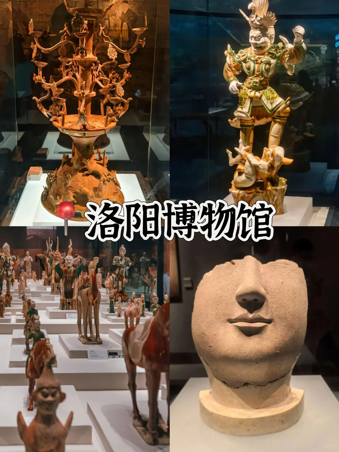 04女大📍洛阳｜三天两夜超详细版旅游攻略
