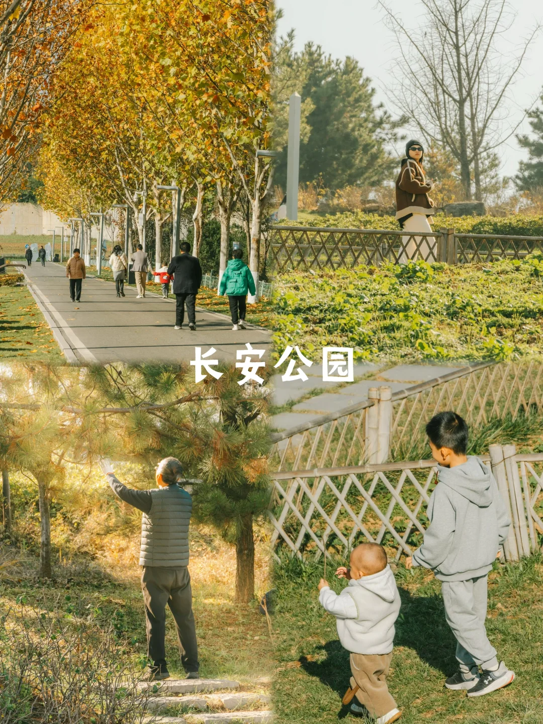 西安的99个小众宝藏地汇总篇(29-42)