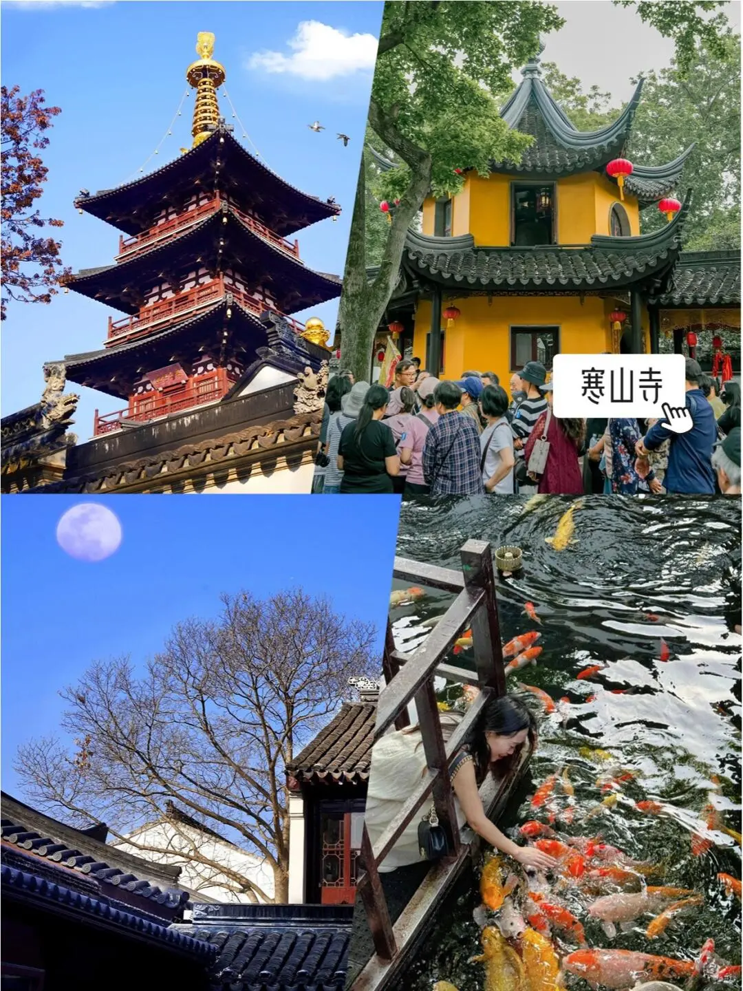 人均600💰去苏杭玩四天，吃住行全含🌈|