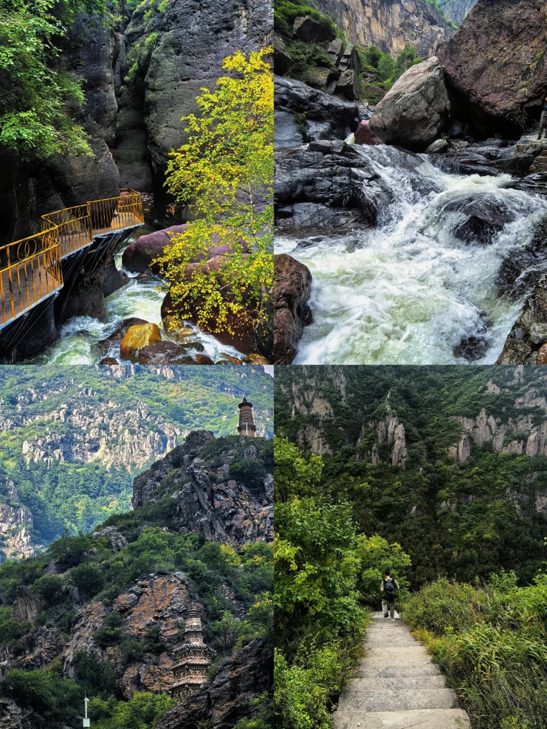🌈河北蔚县| 1–2月来真香，古城的冬日味道