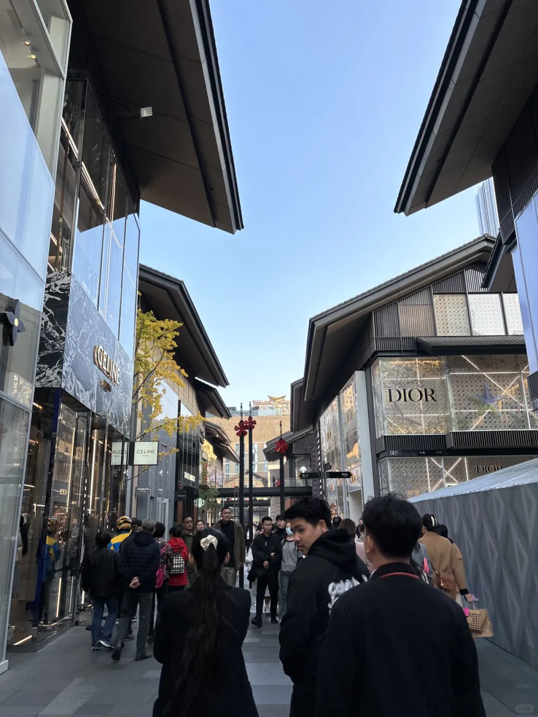 12.30📍成都已逃，奔溃了😭说点大实话……