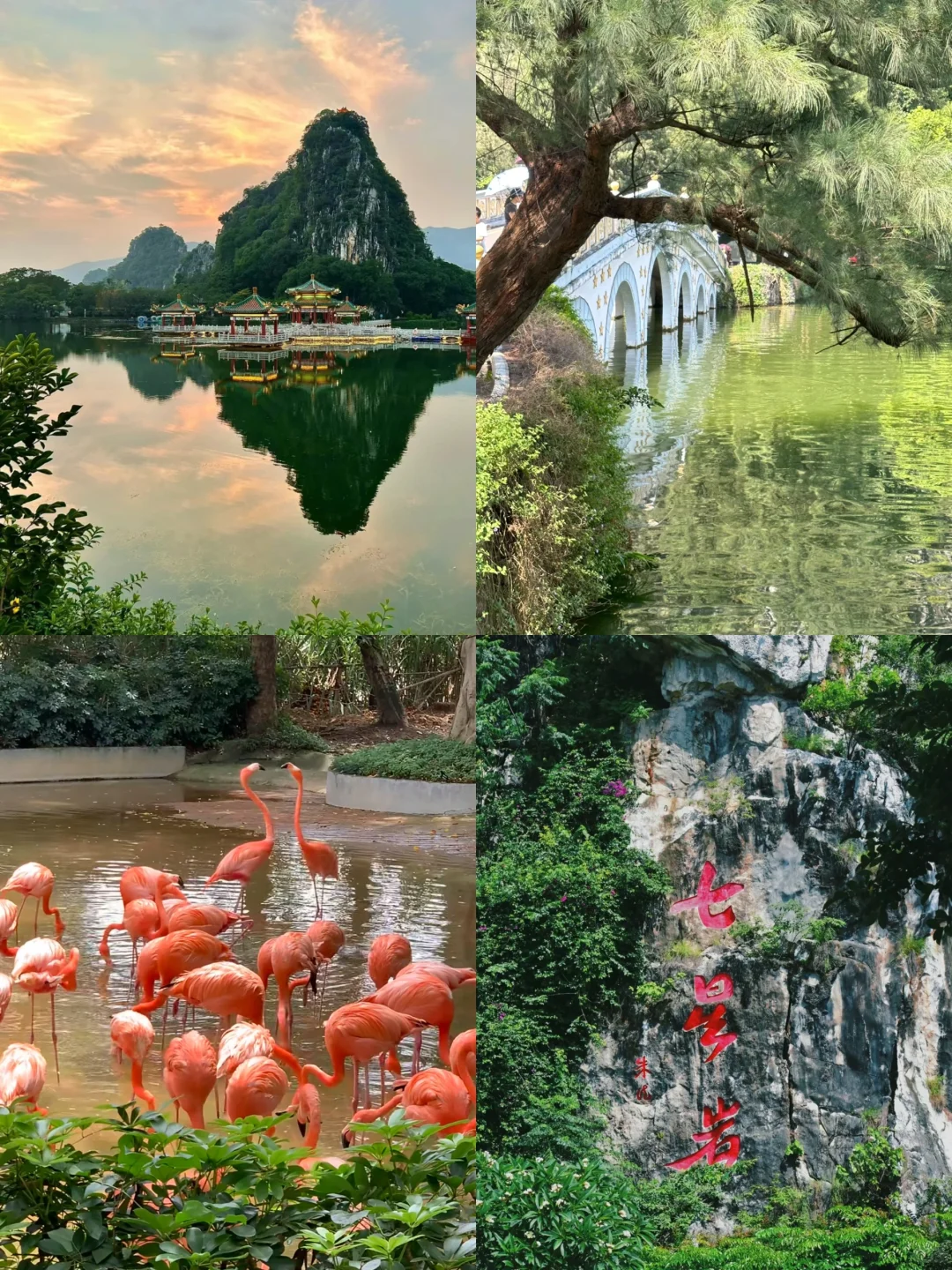 05女大学生 穷游肇庆📍真实旅游攻略分享
