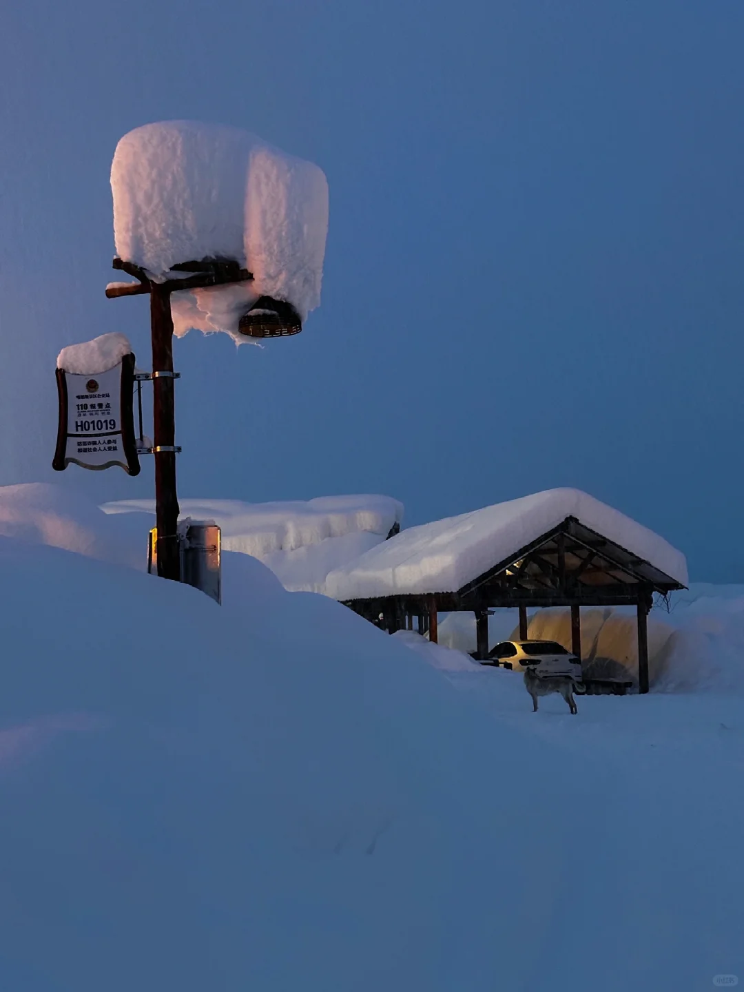 人生建议：12 - 2月一定要来一趟阿勒泰！