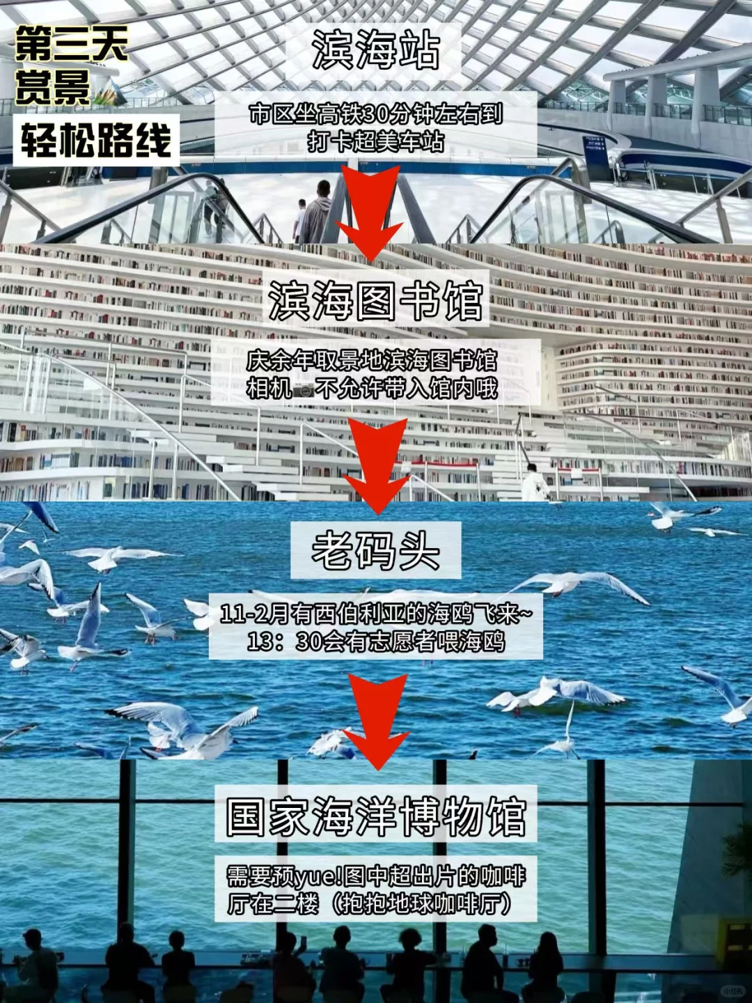 1-2月来天津的一定要注意了‼️天津zui新攻略